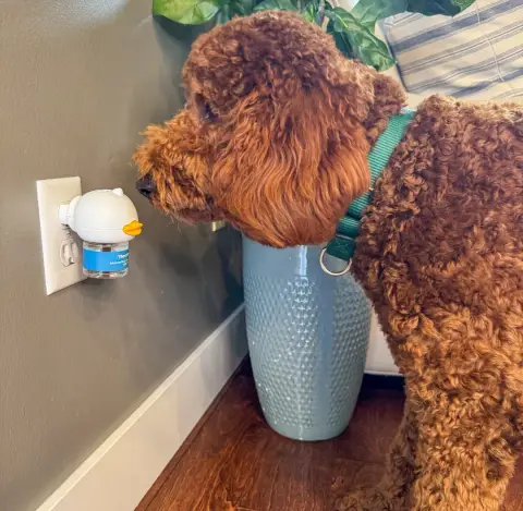 Vet approved products ad: What Really Happens After You Plug in TheraPet…