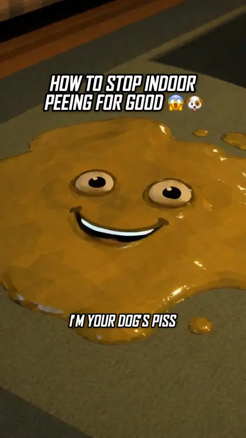 Vet approved products ad: How To Stop Dog Indoor Peeing Fast