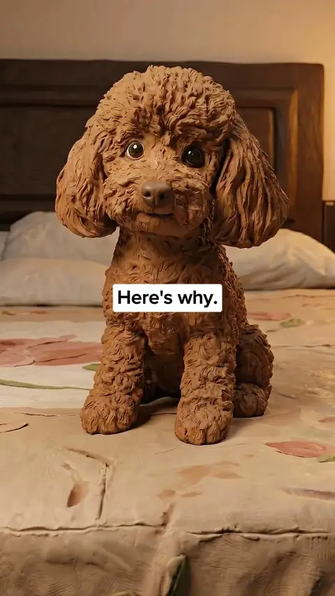 Vet approved products ad: Help your anxious dog feel safe and calm