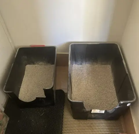Vet approved products ad: She has 11 cats and only 3 litter boxes. Here's her secret…