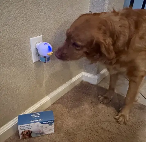 Vet approved products ad: What Really Happens After You Plug in TheraPet…