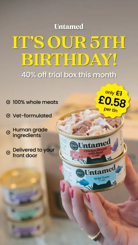 Untamed ad: Grab Your £7 Trial Box Today! 😻