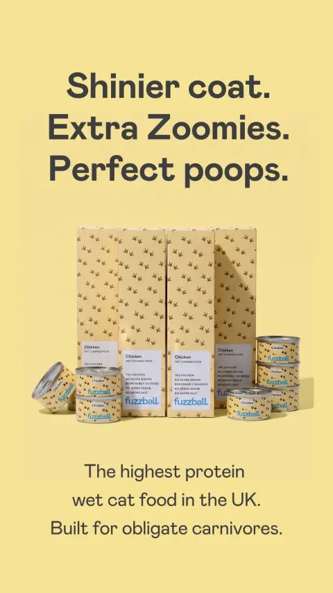 Fuzzball ad: Highest Protein Cat Food
