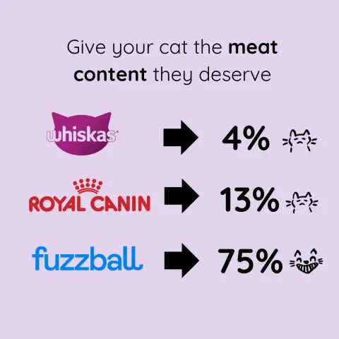 Fuzzball ad: Rated ‘Excellent’ by Cat Parents Like You 😻