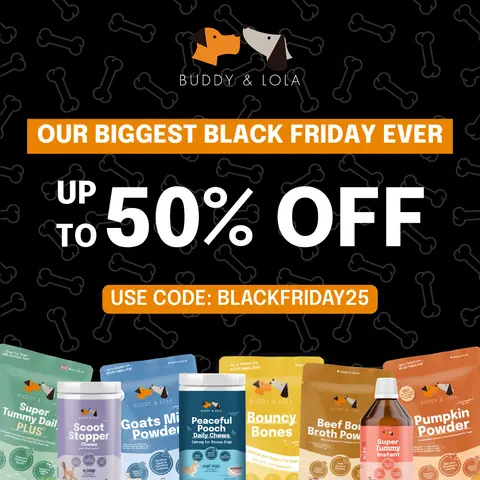 Buddy & Lola ad: Black Friday Offers