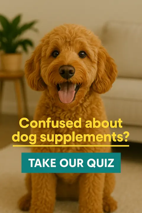 Buddy & Lola ad: Take Our Quiz