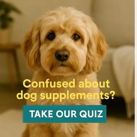 Buddy & Lola ad: Take Our Quiz