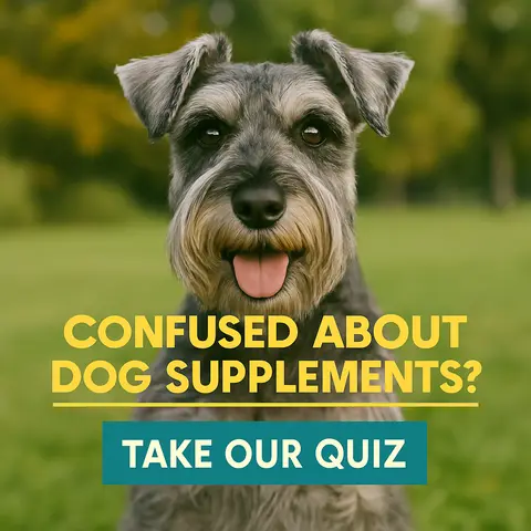 Buddy & Lola ad: Take Our Quiz