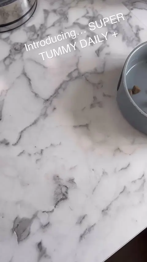 Buddy & Lola ad: The Ultimate Gut Health Solution for Dogs 🐶