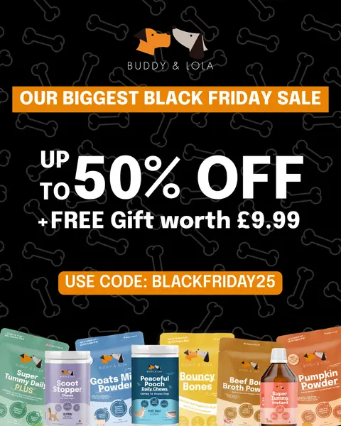Buddy & Lola ad: Black Friday Offers