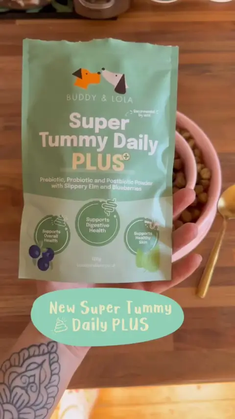 Buddy & Lola ad: The Ultimate Gut Health Solution for Dogs 🐶