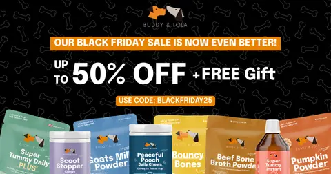 Buddy & Lola ad: Black Friday Offers