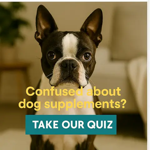 Buddy & Lola ad: Take Our Quiz