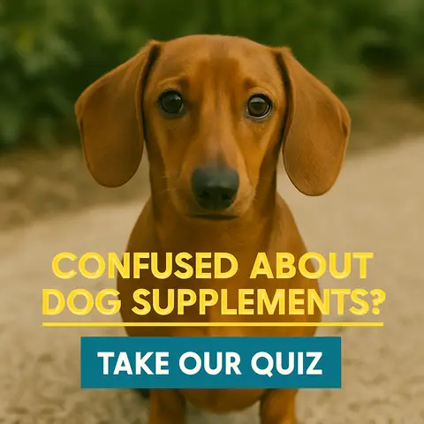 Buddy & Lola ad: Take Our Quiz