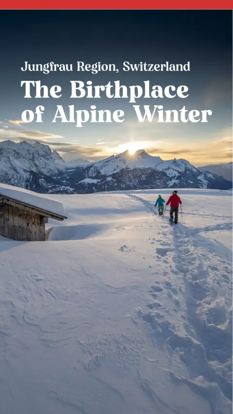 Heidi ad: Your Winter, Your Way