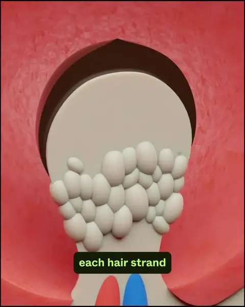 Scandinavian Biolabs ad: Real Results with Our Clinically-Tested Routine