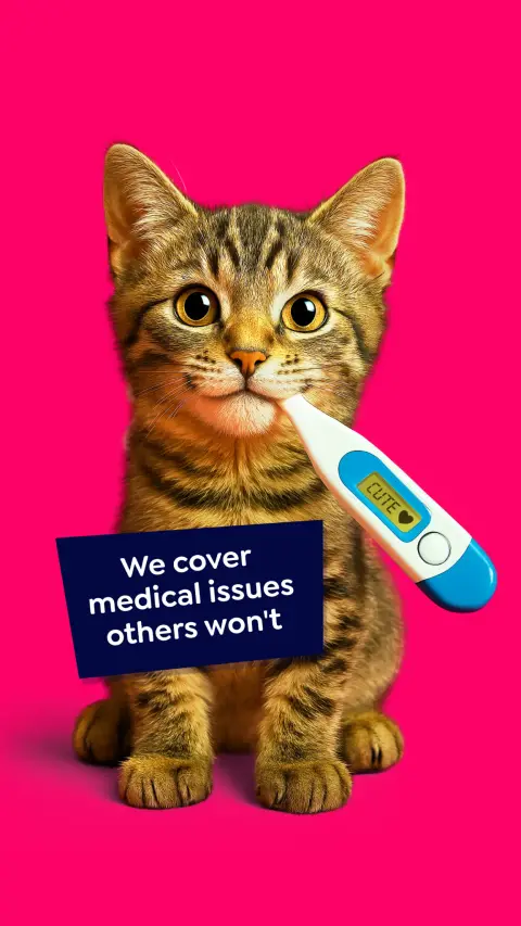 Petgevity UK ad: Cover plus peace of mind