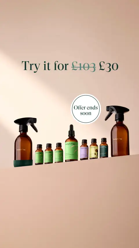 Purdy & Figg ad: Clean your whole home for just £30!