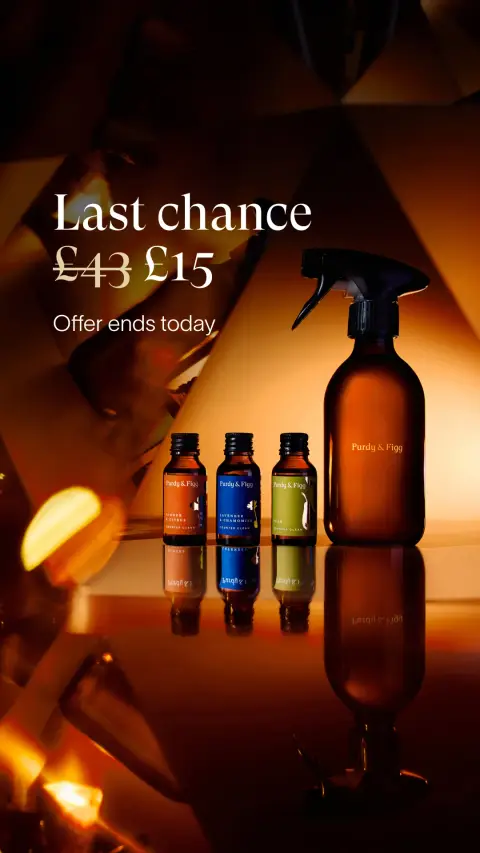 Purdy & Figg ad: 65% Off Limited Scents