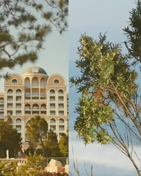 Alua Hotels & Resorts ad: Sun-warmed stone, soft linen, the shimmer of the Black Sea at golden hour…