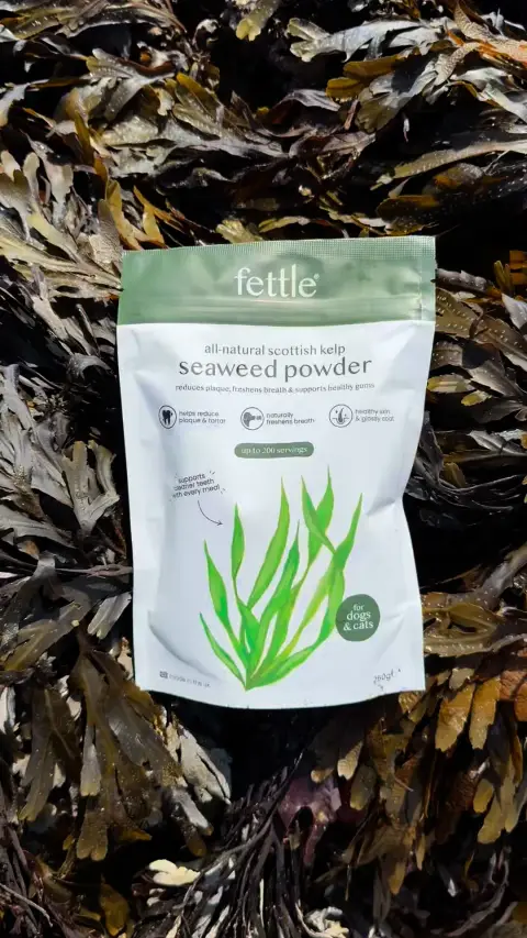 Fettle ad: 🤢 Ditch Dog Breath Naturally! 🦷