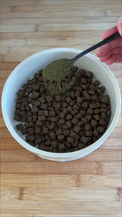 Fettle ad: 🤢 Ditch Dog Breath Naturally! 🦷