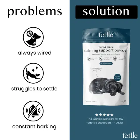 Fettle ad: We made this for him.