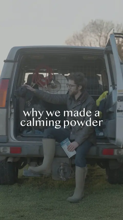 Fettle ad: We made this for him.