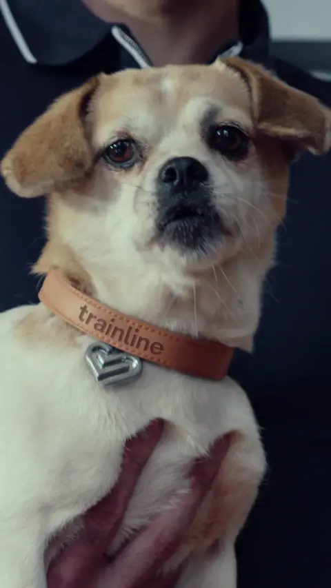Trainline ad: New: Travel Assistant