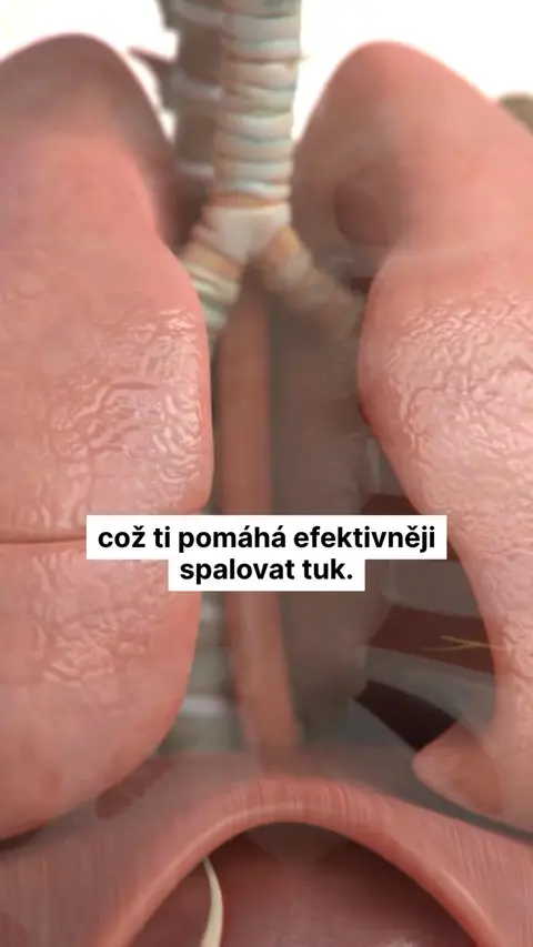 CertifiedFasting.com ad: [DNES] Test zdarma