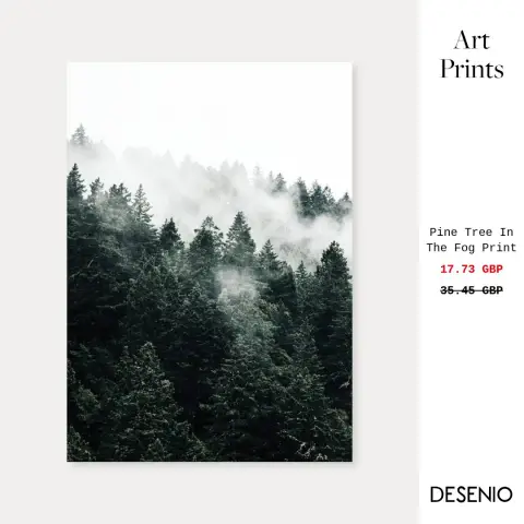 Desenio ad: Mint Bike Print (30x40 cm)