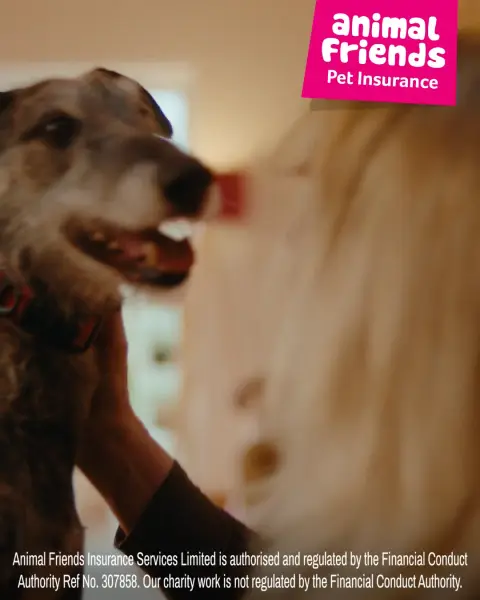 Animal Friends Pet Insurance ad: Pre-authorise treatment