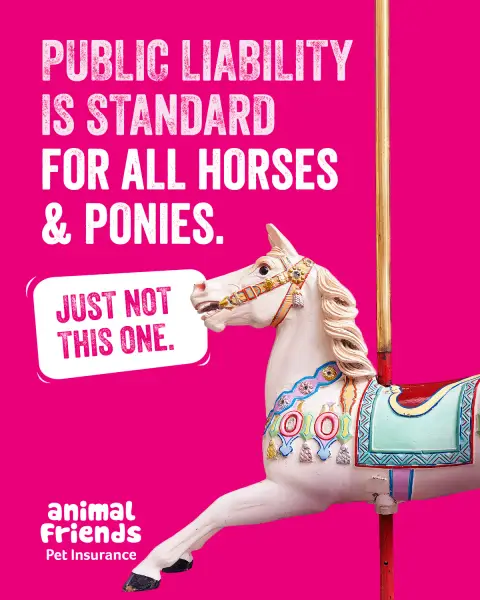 Animal Friends Pet Insurance ad: Horses and Ponies covered