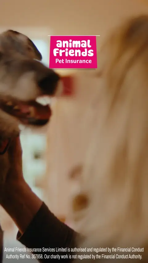 Animal Friends Pet Insurance ad: Helping your pets in need 24/7