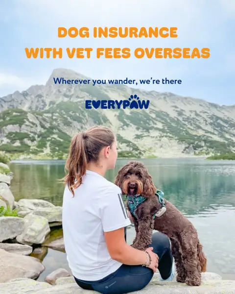 Everypaw Pet Insurance ad: Pet insurance that travels with you