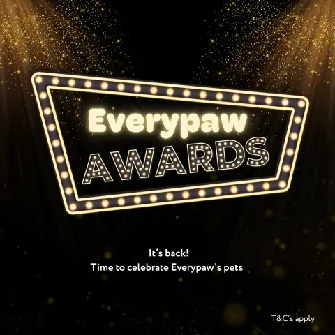 Everypaw Pet Insurance ad: 🎉🐾 The Everypaw Awards Are Back! 🐾🎉 Our second edition is here - The…