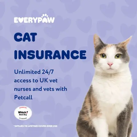 Everypaw Pet Insurance ad: Everypaw Pet Insurance