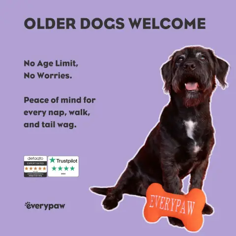 Everypaw Pet Insurance ad: Now Covering Senior Pets
