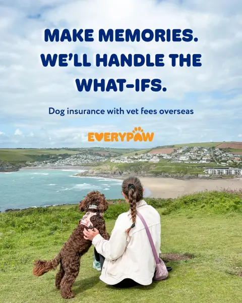 Everypaw Pet Insurance ad: Overseas vet fee cover for your pet