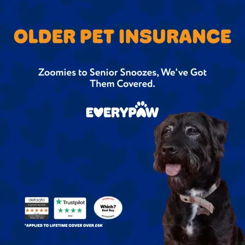 Everypaw Pet Insurance ad: Now Covering Senior Pets