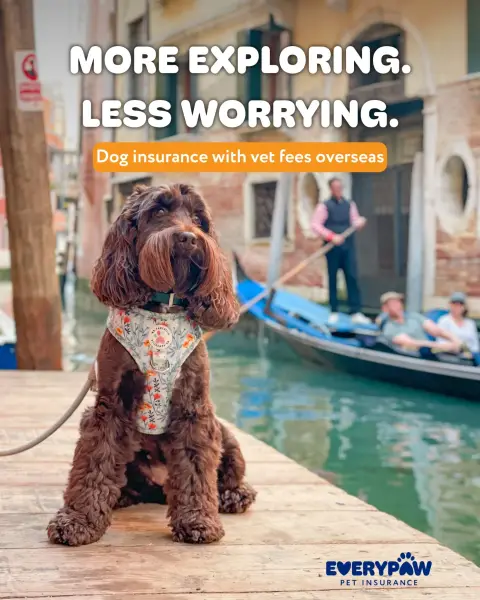 Everypaw Pet Insurance ad: Pet insurance that travels with you