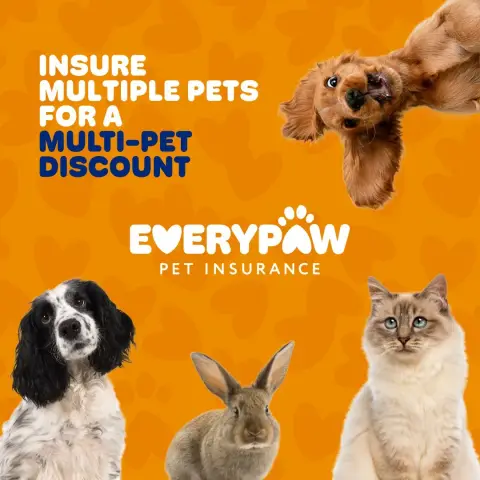 Everypaw Pet Insurance ad: Two, Three, Four Pets? Even Better.