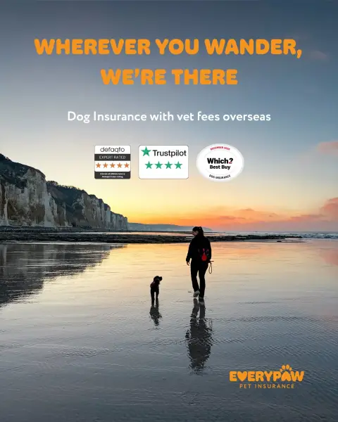 Everypaw Pet Insurance ad: Travel with added peace of mind
