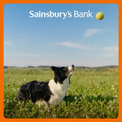 Sainsbury's Money ad: Pet Insurance