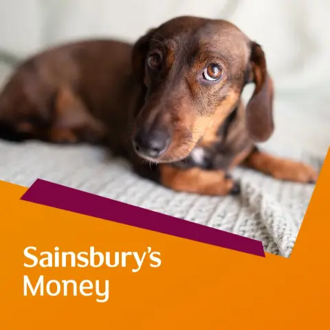 Sainsbury's Money ad: Pet Insurance