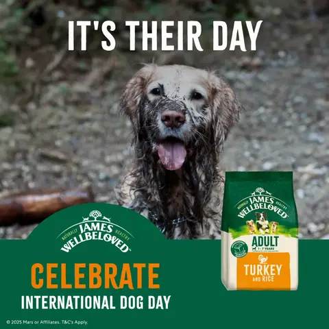 James Wellbeloved Pet Food ad: International Dog Day!