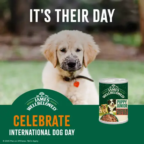 James Wellbeloved Pet Food ad: International Dog Day!