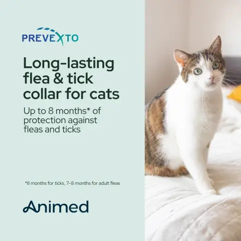 Animed ad: New Prevexto flea & tick collars