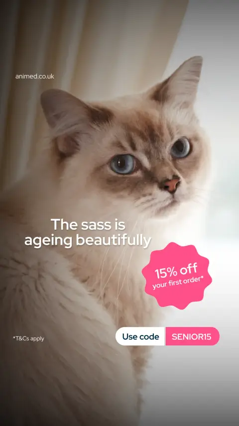 Animed ad: Chaos has no age limit