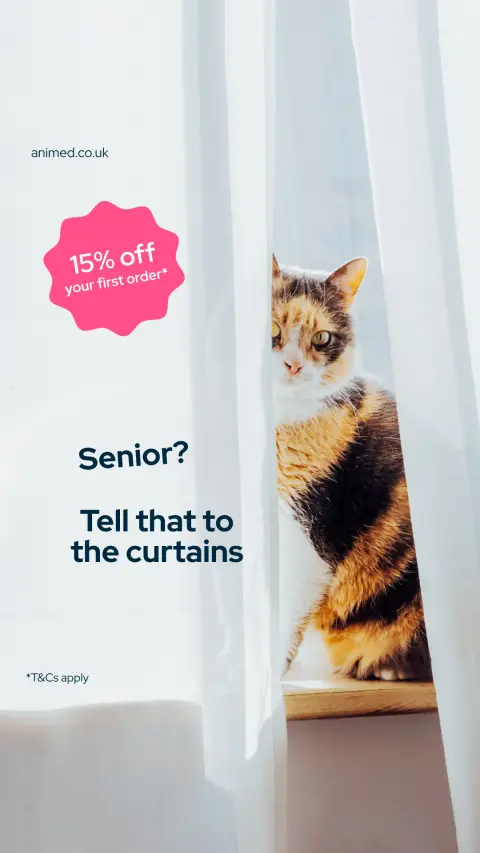 Animed ad: Chaos has no age limit